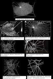 Maybe you would like to learn more about one of these? Pin On Spiders