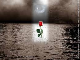 Risultati immagini per occhi d'amore