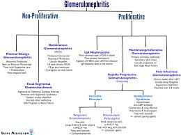 Glomerulonephritis Geeky Medics