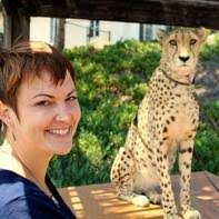 Lizard Dreams Painting by Becky Macpherson