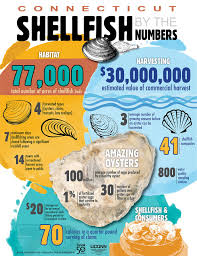 Image Of The Week Shellfish Oysters Clams