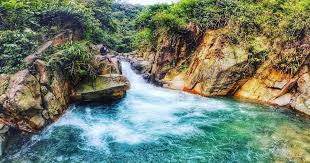 We did not find results for: Ifa Lifes