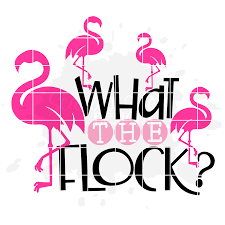 Download Summer Svg What The Flock Flamingo Svg Cut File Scarlett Rose Designs