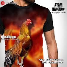 Kaos Ayam Bangkok Kaos3d Ayam Jago Binatang Gambar Kaos