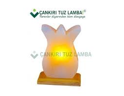 Cankiri Tuz Lambasi Adli Kullanicinin Tuz Lamba Panosundaki Pin Lamba