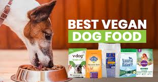 Vegan spaghetti squash lasagna boats. 3 Best Vegan Dog Food Brands 2021 Review Updated
