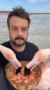 Post by Man Tsoi (@joettsoi)