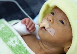 Global Health Report