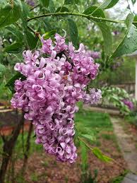 丁香五月 情色 内容 精彩 集锦