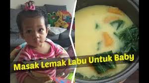 Disamping cemilan berupa kue sehat makanan pendamping asi utama harus sangat diperhatikan. Resepi Masak Lemak Labu Untuk Baby Baby Food Youtube
