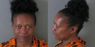 Mount Holly woman charged for arson, knife threats