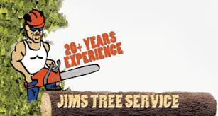 For more information on services provided or to. Jim S Tree Service Tree Care Services Isle Mn