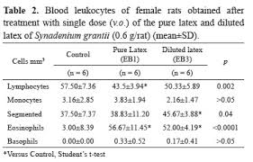 Image result for Synadenium glabratum