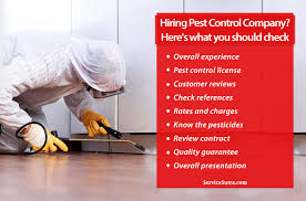 Do your part to deter pests by keeping your home as clean as possible, especially where food is concerned. 9 Important Things To Know When Hiring A Pest Control Company