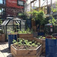 Pathways should be wide enough to wheel a barrow. Raised Bed Designs For Gardening Tips Advice And Ideas