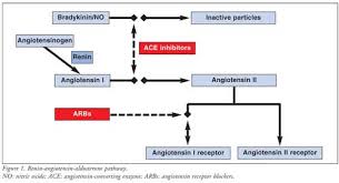 Cross Reactivity Of Ace Inhibitor Induced Angioedema With Arbs