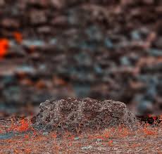 Png, portable network graphics (.png). Png File Download Transparent Png Png Collections At Dlf Pt