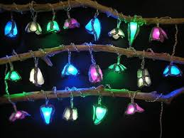 Pin By Colette Vels On When She Awoke The World Was On Fire Fairy Lights Indoor Christmas Lights Sea Glass Crafts
