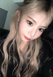 S2iT Members Profile (Updated!)