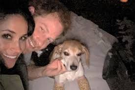 How Meghan Markle's Dog Guy Played a Role When Prince Harry Proposed