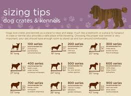 Pin By Ashley Lovelace On To Build Dog Crate Sizes
