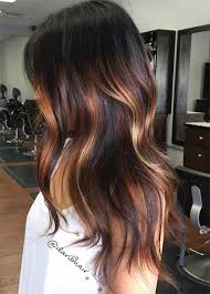 Brown hair with red sun kissed highlights. 49 Hair Color Brown Or Black New Ideas