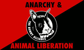 Image result for anarchist sound system logo