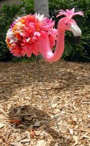 Pin On Flamingos