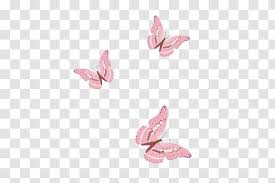 Discover free hd butterfly png images. Elements Hong Kong Pink Butterfly Transparent Png