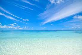 We've gathered more than 5 million images uploaded by our users and sorted them by the most popular ones. 100 000 Best Ocean Background Photos 100 Free Download Pexels Stock Photos