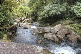 Parque nacional santa fe existe un gran número de especies de aves, unas 300, que potencialmente se encuentran habitando el área, ya que son especies características de la cordillera central. Parque Nacional Santa Fe Unterwegs Nach Irgendwo