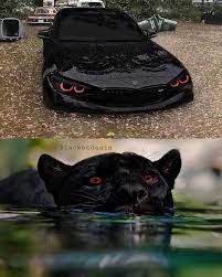 Pin By Amazing Cars On Bmw Cool Sports Cars Luxury Cars Bmw Sports Cars Luxury