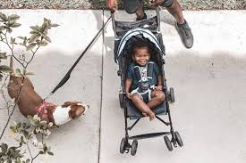 Best Umbrella Strollers Of 2021