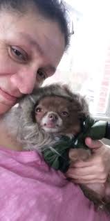 Coco & Sox ❤️ How adorable are these two! 🥺 #puppy #dogs #petstore  #christmas