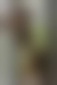 Ashley Tervort Nude Nipple Reveal Onlyfans Set durchgesickert - Sexy eGirls
