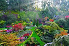 Found On Bing From Www Reddit Com Butchart Gardens Most Beautiful Gardens Beautiful Gardens