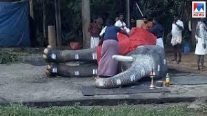 The elephants owned by the family include celebrity elephants like mangalamkunnu ayyappan and mangalamkunnu karnan, among others. à´¨ à´Ÿ à´Ÿ à´¨à´•à´³ àµ½ à´ª à´°à´® à´–à´¨ à´¯ à´® à´—à´² à´• à´¨ à´¨ à´•àµ¼à´£àµ» à´šà´° à´ž à´ž Elephant Mangalamkunnu Karnan Died Youtube