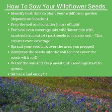 How big does a wildflower need to be to grow? Wildflower Seeds Perennial 17 Variety 3oz Homegrown Garden