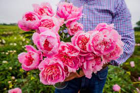 Excerpt from floret's peony farm field trip: Growing Peonies P Allen Smith