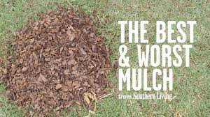 This color mulch works well in small areas, but tends. The Best And Worst Mulch For Your Garden Southern Living Youtube