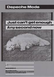 All the things you do to me and everything you said. Depeche Mode Just Cant Get Enough 1981