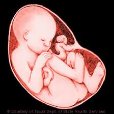 My baby weight at 34th week of pregnancy is 1 kg 800 gm.i am so worried.what can i do to increase my. Weeks34 38