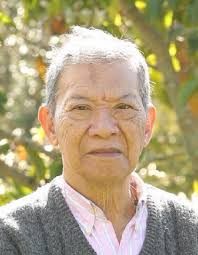 Police searching for man last seen in Howick