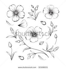 Black And White Orange Blossom Clip Art Sakura Isolated Stock Vectors Vector Clip Art Cherry Blossom Drawing Flower Drawing Black Flowers