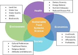 Recovery occurs via many pathways. The Importance Of A Holistic Approach To Sustainability In Dietary Guidance Journal Of Nutrition Education And Behavior