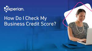 How To Check Your Business Credit Score | Experian