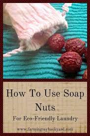How To Use Soap Nuts For Eco Friendly Laundry Soap Nuts Eco Friendly Laundry Soap Eco Friendly Laundry