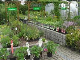 Alles Rund Um Den Garten Finden Sie Bei Ihrer Gartnerei M Potschke Bei Bautzen