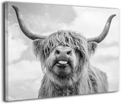 Download and use 6,000+ highland cow stock photos for free. Amazon Com Canvas Print Wall Art Black And White Freedom Highland Cow Pictures Painting For Living Room Bedroom Modern Home Decor Ready To Hang Stretched And Framed Artwork 16 Hx20 W Posters Prints