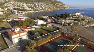 Maybe you would like to learn more about one of these? Kaki Thalassa Keratea Greece Dec 11th 2016 Youtube